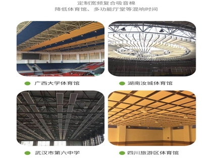 廣州創(chuàng)雅體育館聲學處理