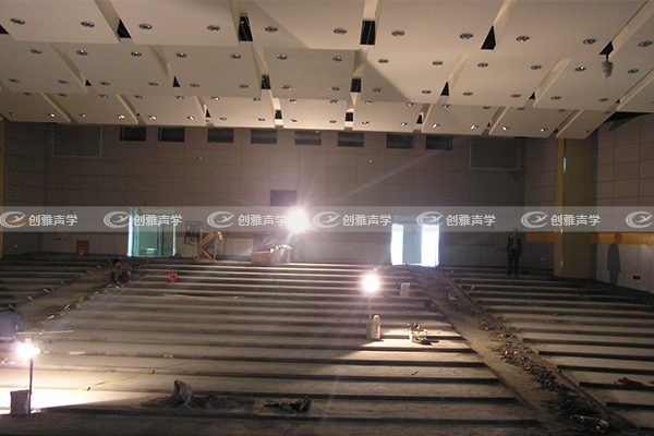 廣州大學城中醫藥大學多功能會議室