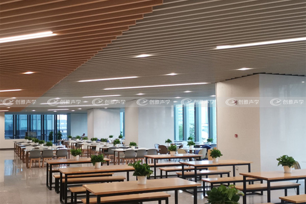 騰訊科興D2餐廳吸音工程