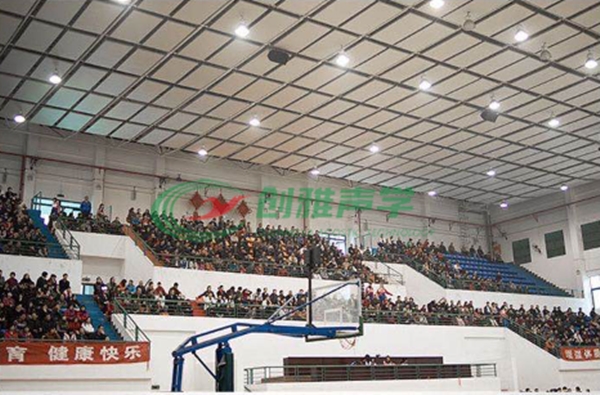 藝術(shù)中心體育館玻纖吸聲天花